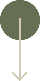 Fleche Vert Beige2 home-staging_09